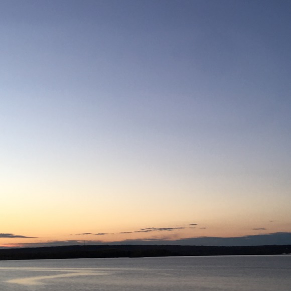 Meet your Posher, Sydney - Picture 1 of 1